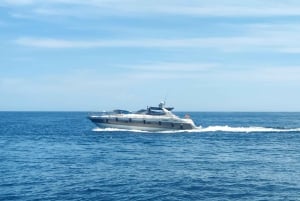 Marbella: Private Cruise in Luxury Yacht