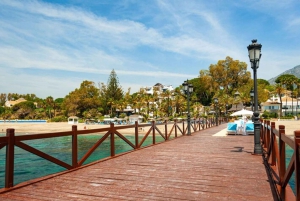 Marbella: Private custom tour with a local guide