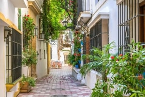 Marbella: Private custom tour with a local guide