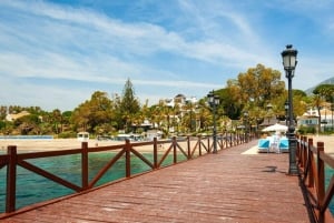 Marbella: Private Customizable Walking Tour with Guide