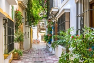 Marbella: Private Customizable Walking Tour with Guide