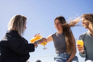 Marbella: prywatny wynajem łodzi żaglowej z Luna jako sternikiem