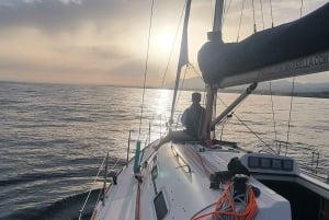 Marbella: prywatny rejs z napojem i przekąską, 2 godziny