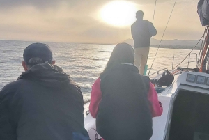 Marbella: prywatny rejs z napojem i przekąską, 2 godziny