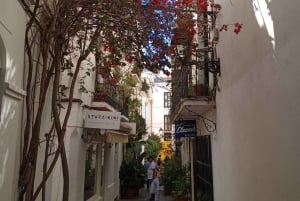 Marbella: Private Tour of the Historic Center