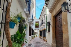 Marbella private tour & Puerto Banus to walk on your own