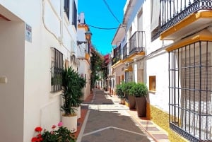 Marbella private tour & Puerto Banus to walk on your own