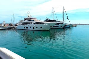 Marbella private tour & Puerto Banus to walk on your own