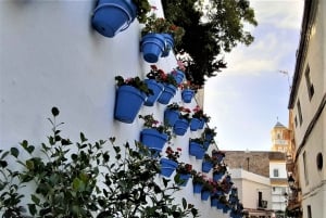 Marbella: Private Walking Tour