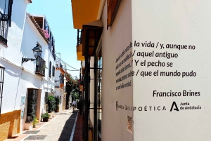 Marbella: Privé wandeltour