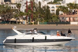 Marbella: Puerto Banús 2-hour dolphin watching cruise