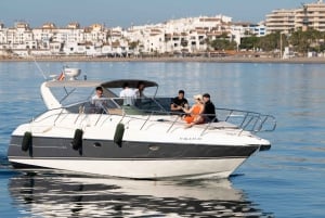 Marbella: Puerto Banús 2-hour dolphin watching cruise