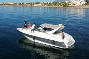 Marbella: Puerto Banús 2-hour dolphin watching cruise