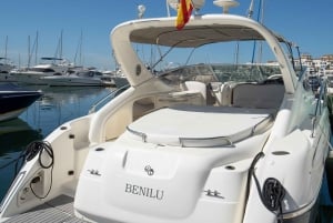 Marbella: Puerto Banús 2-hour dolphin watching cruise