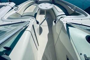 Marbella: Passeio de barco em Puerto Banus com observação de golfinhos