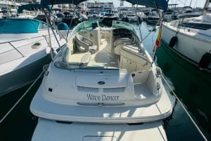 Marbella: Passeio de barco em Puerto Banus com observação de golfinhos