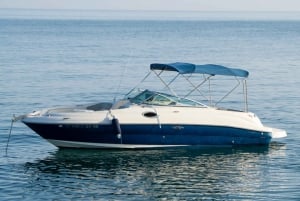 Marbella: Passeio de barco em Puerto Banus com observação de golfinhos