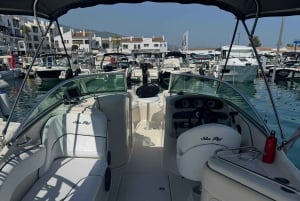 Marbella: Passeio de barco em Puerto Banus com observação de golfinhos
