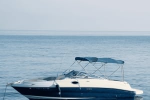 Marbella: Passeio de barco em Puerto Banus com observação de golfinhos