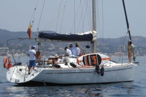 Marbella: Dolphin-Watching Sailboat Trip with Drinks, Snacks