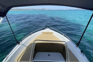 Marbella: Boat Rental drive yourself with Dolphin Sighting