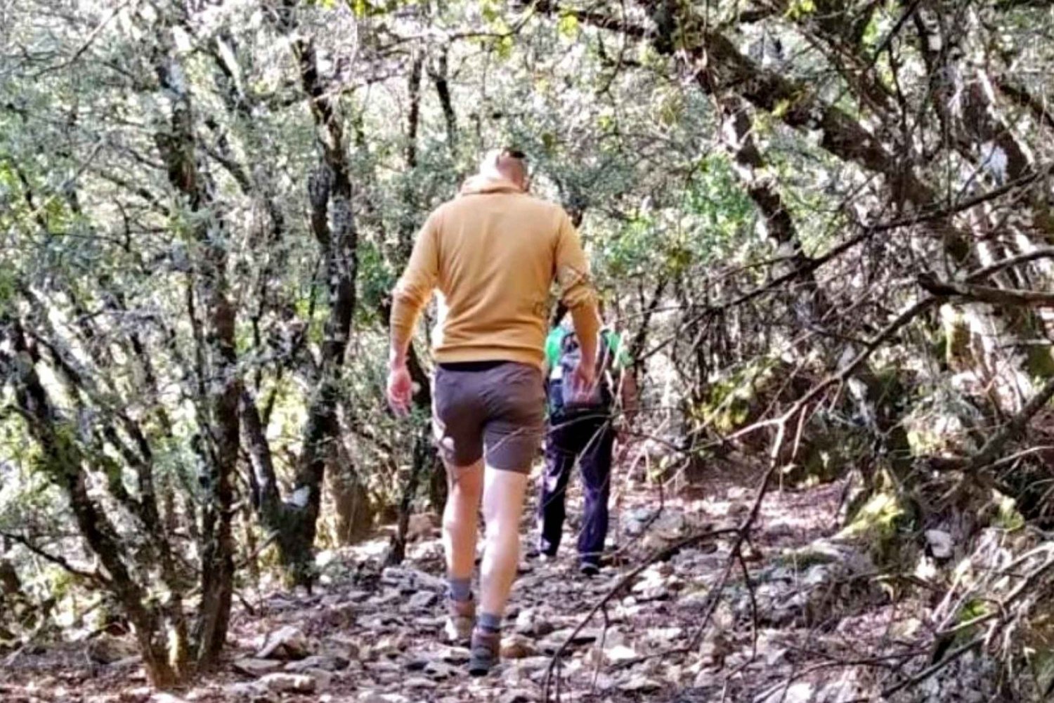 Marbella: excursão de um dia para caminhadas no Parque Nacional Sierra de las Nieves