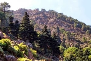 Marbella: Sierra de las Nieves National Park Hiking Day Trip