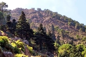 Marbella: Sierra de las Nievesin kansallispuiston vaelluspäiväretki