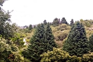 Marbella: Sierra de las Nievesin kansallispuiston vaelluspäiväretki