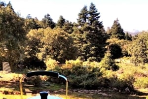 Marbella: Sierra de las Nievesin kansallispuiston vaelluspäiväretki