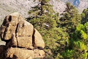 Marbella: Sierra de las Nievesin kansallispuiston vaelluspäiväretki