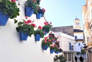 Marbella: Tour panoramico a piedi