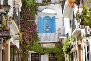 Marbella: Sightseeing Walking Tour