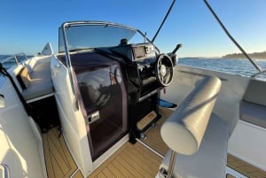 Marbella: Speedboat Rent With Skipper