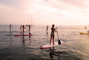 Marbella: Stand-Up Paddle Board at Sunset