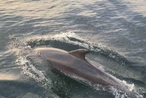 Marbella: privétour bij zonsondergang met drankje en snack, 2 uur
