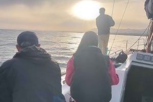 Marbella: privétour bij zonsondergang met drankje en snack, 2 uur