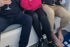 Marbella: privétour bij zonsondergang met drankje en snack, 2 uur