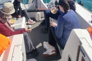 Marbella: privétour bij zonsondergang met drankje en snack, 2 uur