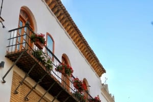 Utforska Marbellas gamla stad: Äkta Tapas-provsmakningsäventyr