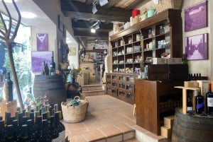 Marbella, Spanien: Rundtur i Gamla stan med Tapas & Vin