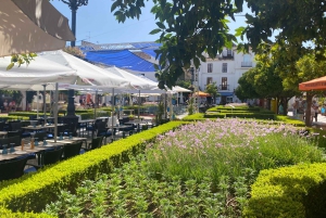 Marbella, Spanien: Rundtur i Gamla stan med Tapas & Vin