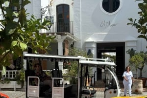 Marbella: Discover Marbella by Tuk Tuk!