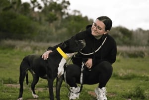 Marbella : promenez des chiens dans le plus grand refuge pour chiens de la Costa del Sol