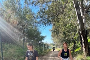 Marbella : promenez des chiens dans le plus grand refuge pour chiens de la Costa del Sol