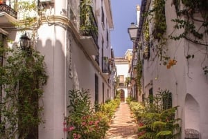 Marbella : Walking Custom Tour with a Local Guide