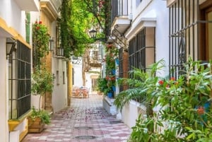 Marbella : Walking Custom Tour with a Local Guide