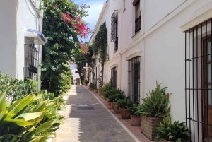 Mijas, Marbella i Puerto Banús z Costa del Sol