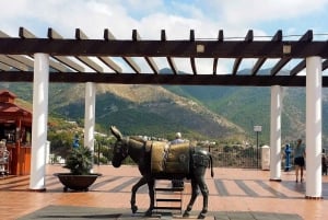 Mijas Pueblo: Private trip from Costa del Sol