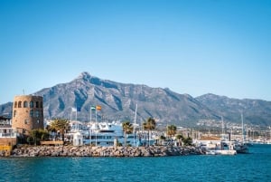 Ny bådtur i Puerto Banús med venner og familie. Delfiner